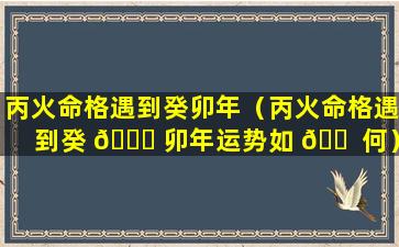 丙火命格遇到癸卯年（丙火命格遇到癸 🐟 卯年运势如 🐠 何）